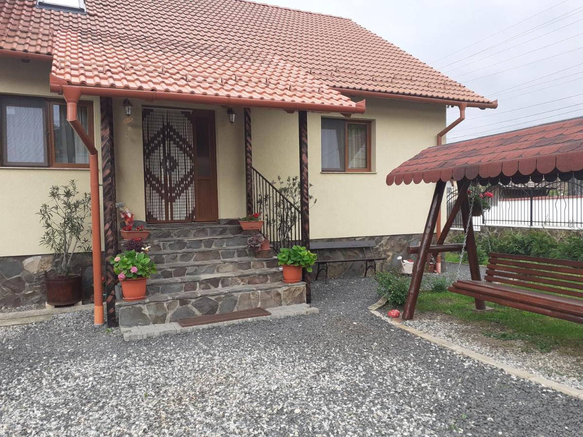 Hotel Casa Raisa & Maria Ocna Sibiului Exterior foto