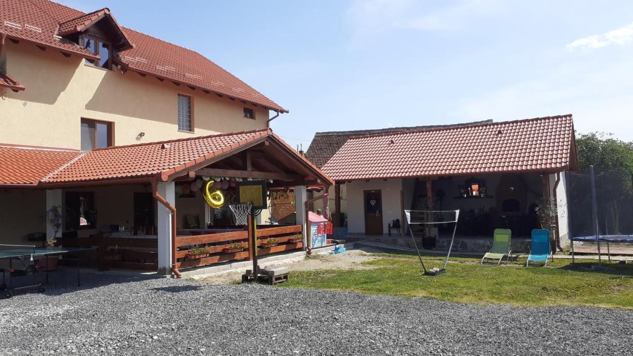 Hotel Casa Raisa & Maria Ocna Sibiului Exterior foto